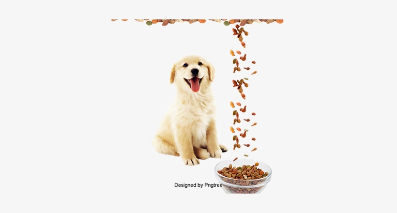 Pet Dog, Dog Clipart, Dog, Pet Png And Psd - Cat, transparent png