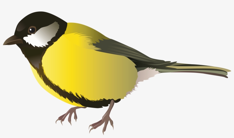 Png Black And White Yellow Png Best Web - Clipart Vögel, transparent png