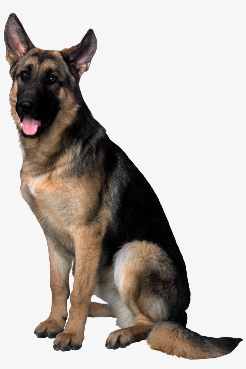 View Full Size, transparent png