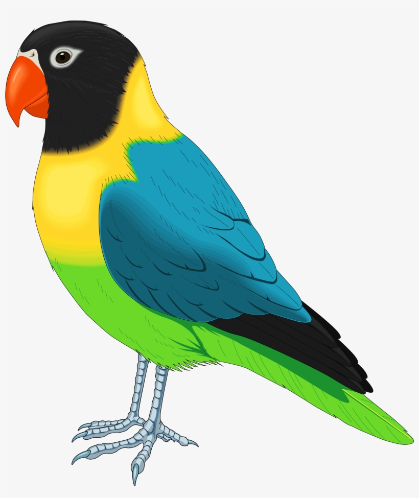 Multicolored Bird Png Clipart - Bird Clipart, transparent png
