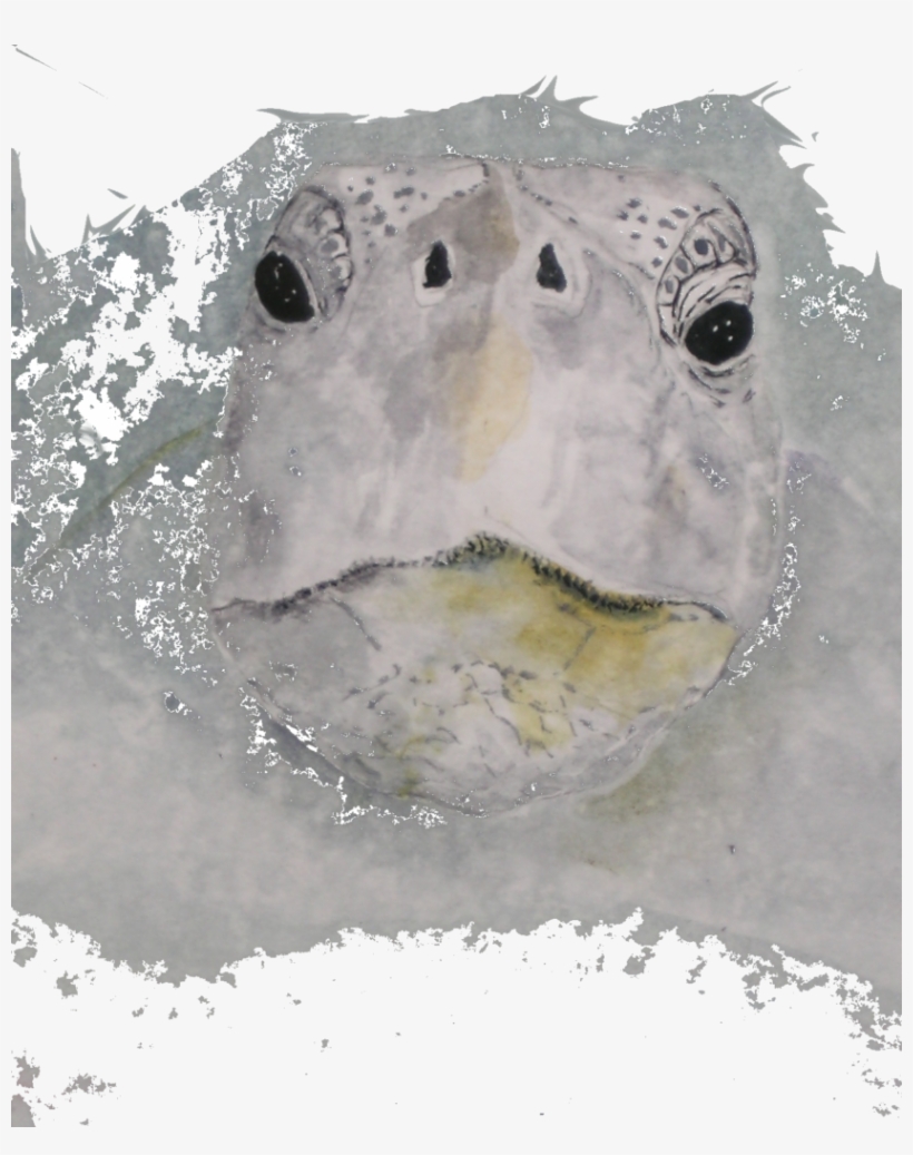 Watercolor Paintings - - Watercolor Painting, transparent png