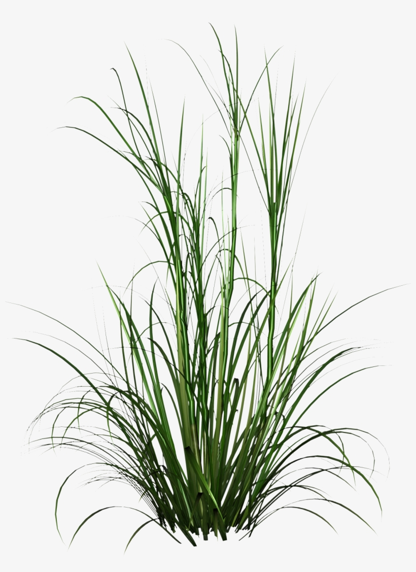 Free Icons Png - Pasto Png, transparent png