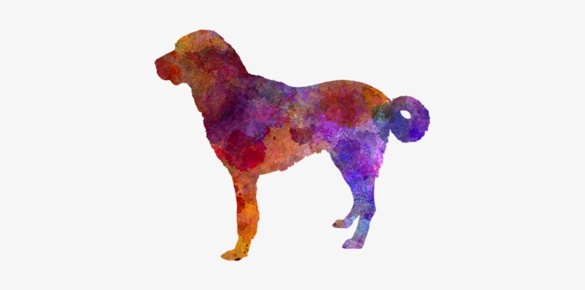 Click And Drag To Re-position The Image, If Desired - Zazzle Anatolian Shepherd Dog Im Watercolor Ipad Mini, transparent png