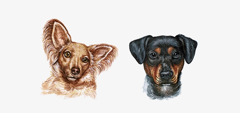 Dog Watercolor Painting - Dog Watercolor Png, transparent png