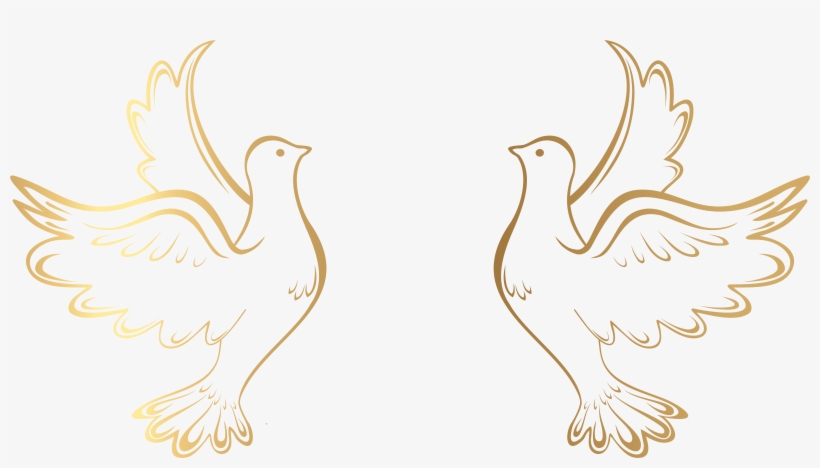 Wedding Frame Vector Free, transparent png