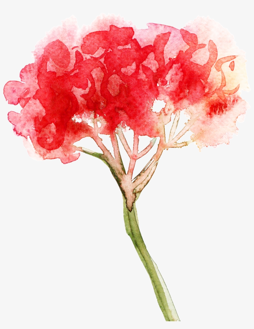 This Graphics Is Red Light Bouquet Cartoon Transparent - Portable Network Graphics, transparent png