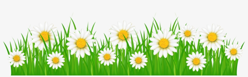 Clip Art Transparent Ground With White Png Clip Art - Grass With Flowers Png, transparent png