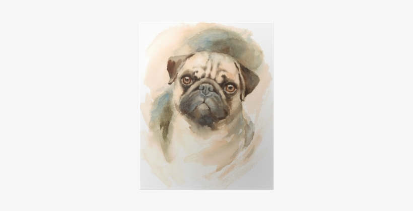 Watercolor Dog Pug Portrait - M&co. Pug Print Cushion, transparent png