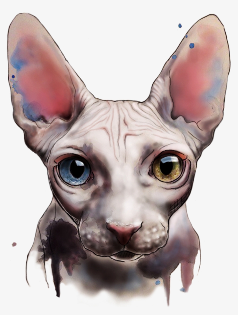 Watercolor And Digital Art By Elenn Freya - Sphynx Cat Art, transparent png