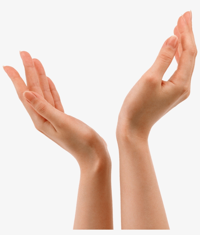 People - Hands - Hand Png, transparent png