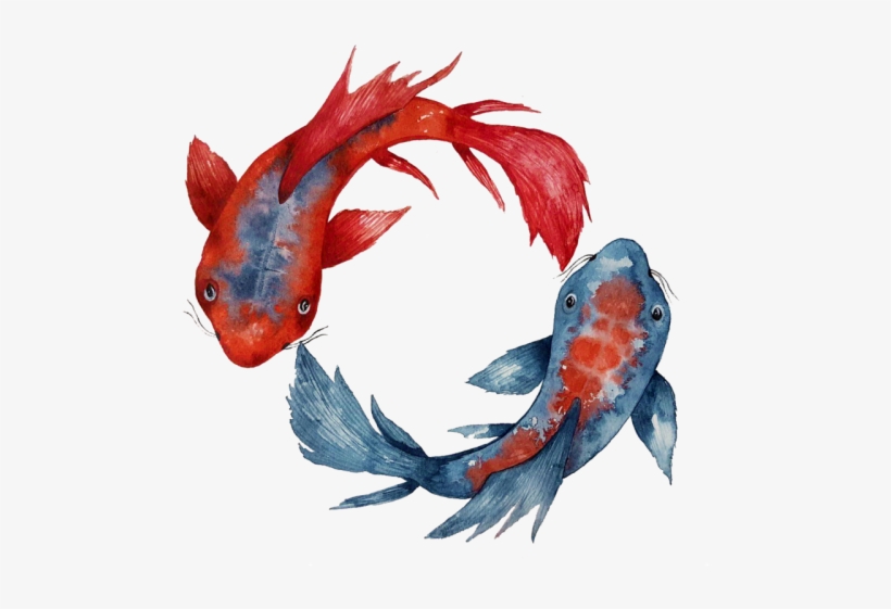 Yin Yang Koi Fish | Unisex T-shirt | Apparel | Women, transparent png