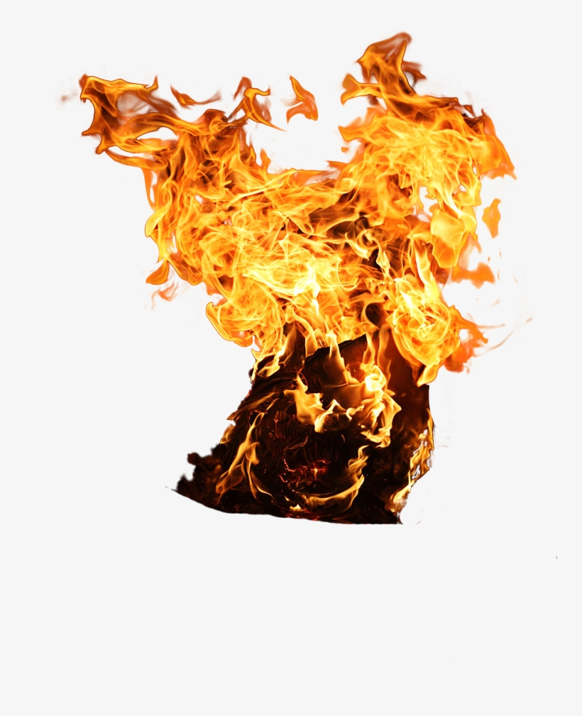 Doston Me Aaj Aap Sabhi Editors Ke Liye New Fire Png - Tree On Fire Png, transparent png
