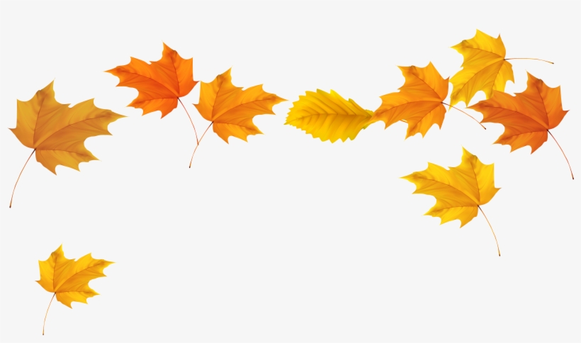 Fall Leaves Clip Art Chalkboard Stair Ideas - Fall Leaves Transparent Background, transparent png