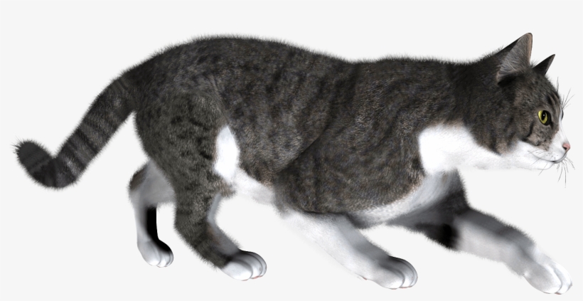 Cat Png - Have A Very Merry Christmas! Card, transparent png