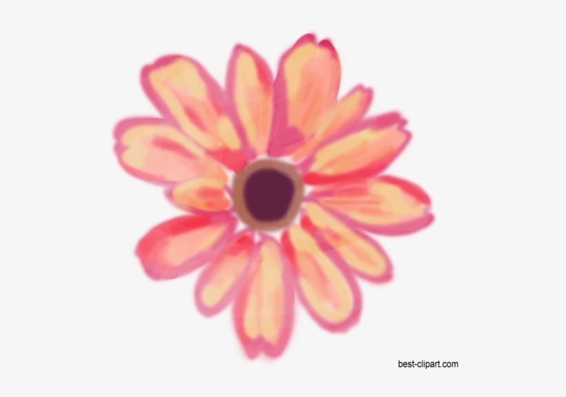 Watercolor Clip Art Flower - Black-eyed Susan, transparent png