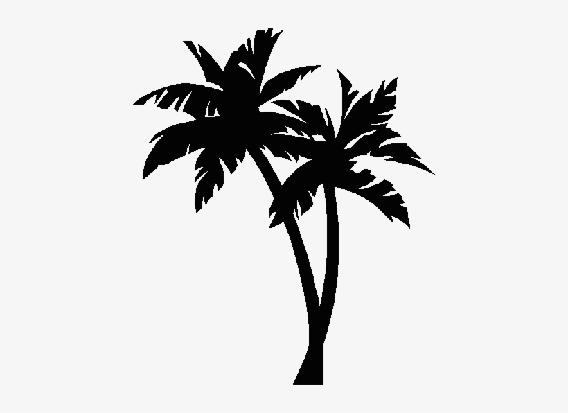 Picture Palm Tree - Palm Trees Clipart Black And White, transparent png