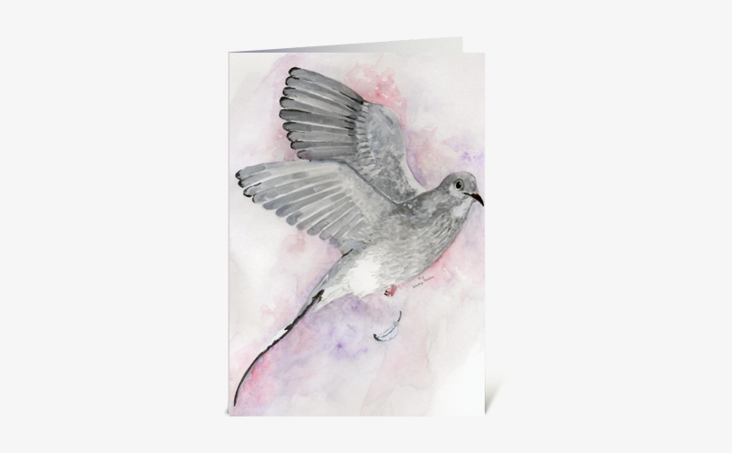 Send This Greeting Card Designed By Kay Murphy-wallace - Stock Dove, transparent png