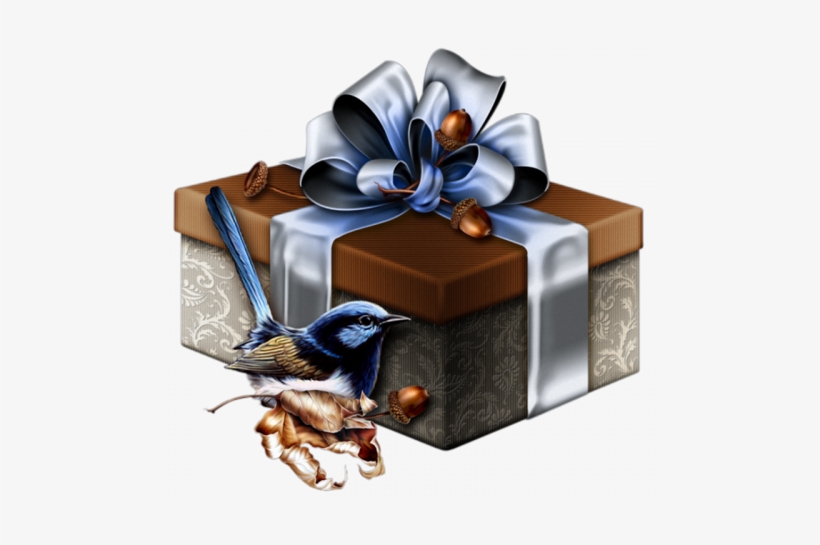 Tube / Png - Transparent Christmas Silver Gift, transparent png