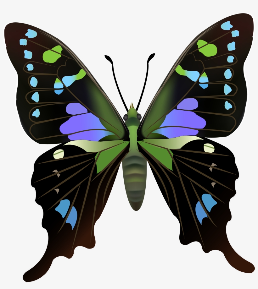 Butterfly Png Clip Art, transparent png