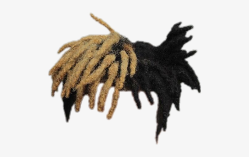 Hair Png Anime - Cabello De Xxxtentacion Png, transparent png