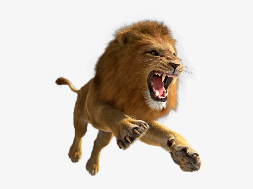 Lion Png Pic - Lion Png, transparent png