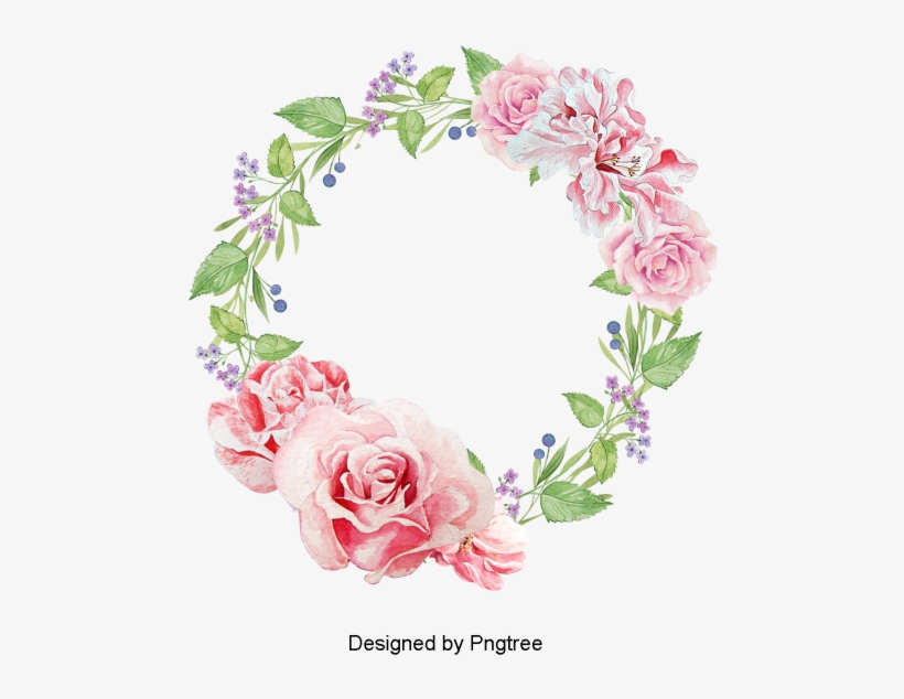 Flower, Flowers, Beautiful Flower, Floral, Beautiful - Flower, transparent png