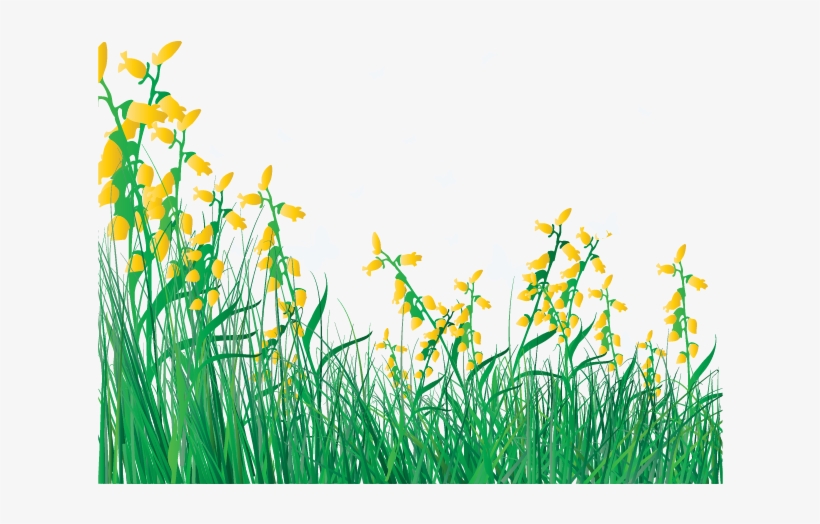 Flower Lawn Clip Art Grass And Flowers Cartoon 725x567 PNG Download