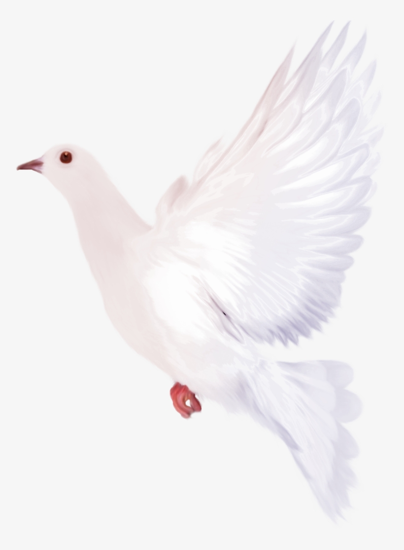 Dove Clipart Watercolor - Dove Watercolor Png, transparent png