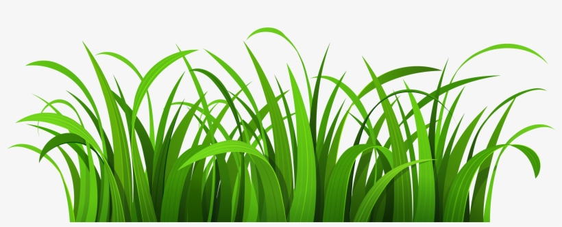 Grass Patch Png Clipart - Grass And Flowers Clipart, transparent png