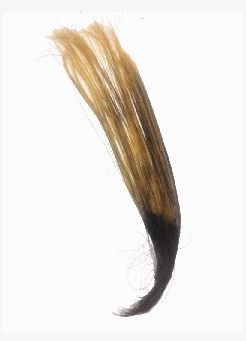 Human Hair Partly Bleached - Bleach, transparent png