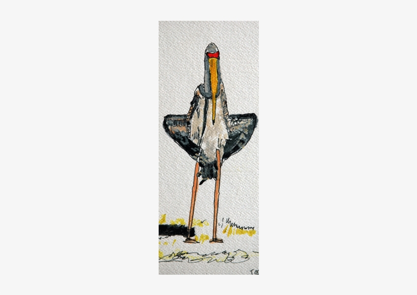 Watercolor Birds 4 - Watercolor Painting, transparent png