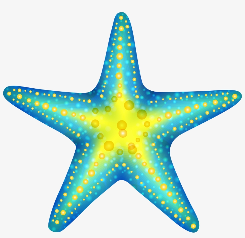 Clear Background Frames Illustrations Hd Cute Png - Starfish Clipart, transparent png