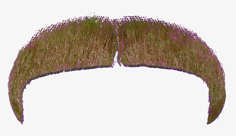 Brown, Gold Macho - Portable Network Graphics, transparent png