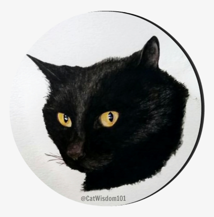 Original Watercolor Of Your Cat Giveaway - Watercolor Black Cat Transparent Png, transparent png