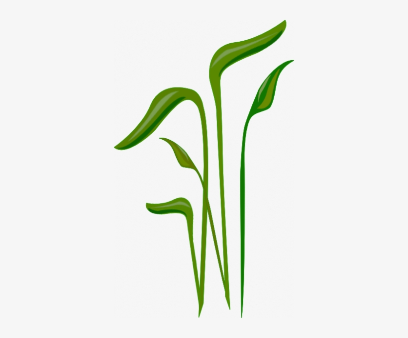 Grass For Tubes - Portable Network Graphics, transparent png