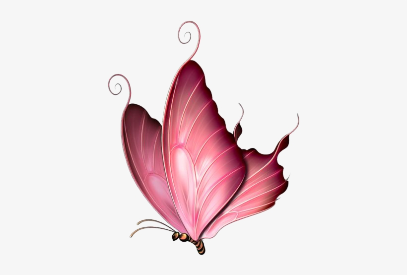 Pink Butterfly Png Image - Pink Butterfly Throw Blanket, transparent png