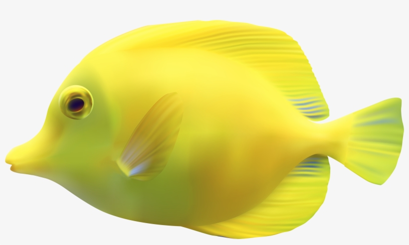 Yellow Zebrasomatang Fish Png Clipart - Fish Png, transparent png