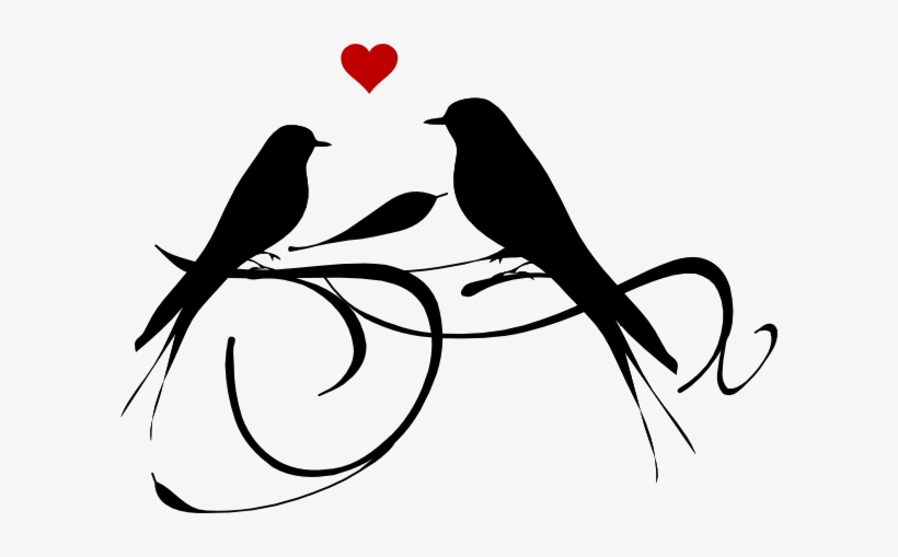 Vector Clipart Love - Birds On A Branch Drawing, transparent png