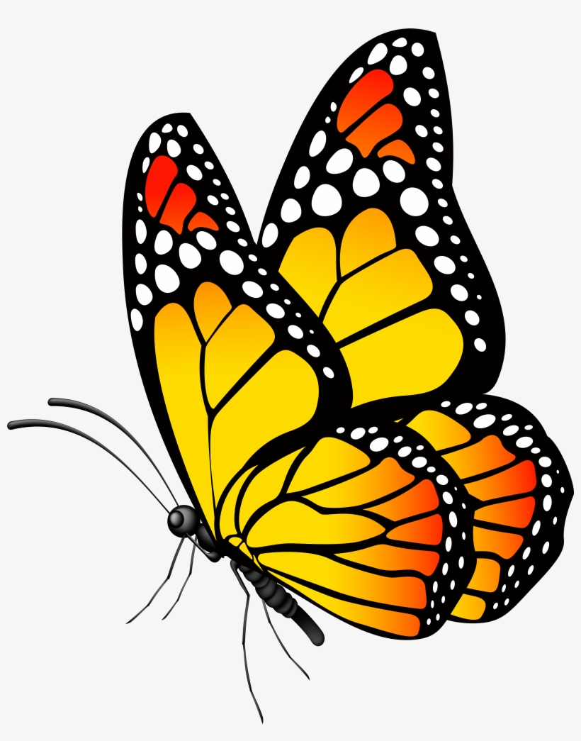 Yellow Butterfly Png Clipart Freeuse Library, transparent png