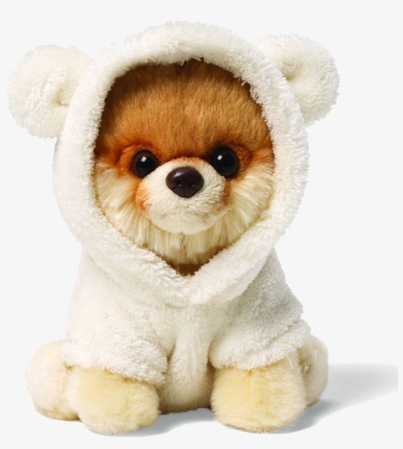 Boo Dog Png Clipart - Itty Bitty Boo In Bear Suit, transparent png
