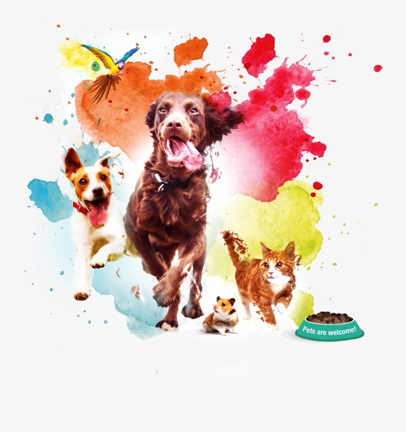 Sign Up For Event News And Updates - Singapore Pet Carnival Calendar 2018, transparent png