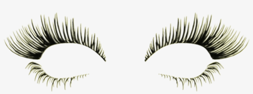 Banner Transparent Library Diva Slimming And Aesthetics - Eyelash Extensions, transparent png