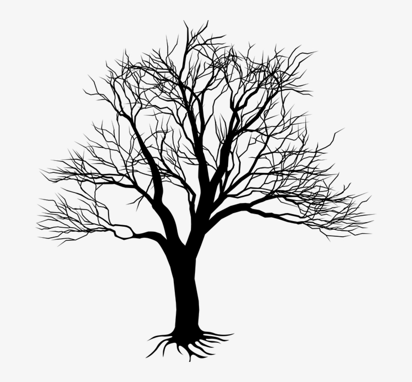 Drawing Of Tree On Wall Clipart Best - Kill A Mockingbird Tree, transparent png