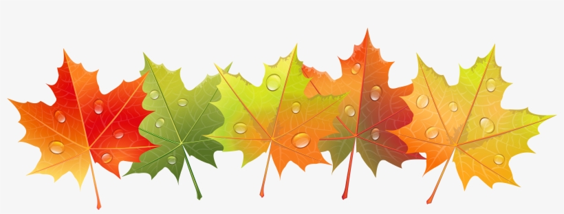 Fall Png, transparent png