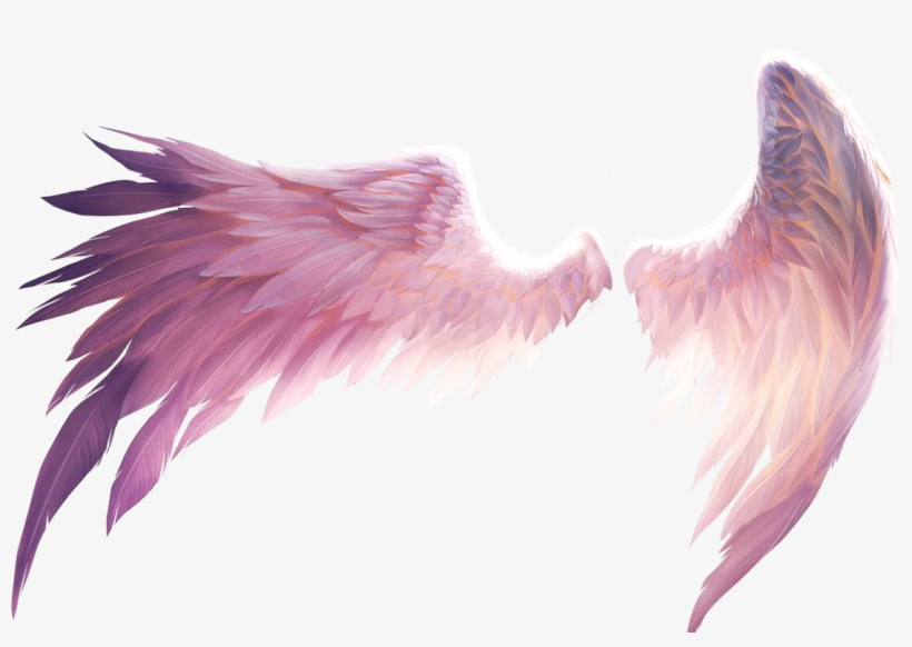 Angelwings Ftestickers Report Abuse - Wings For Picsart, transparent png