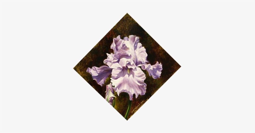 Iris - Grape, transparent png