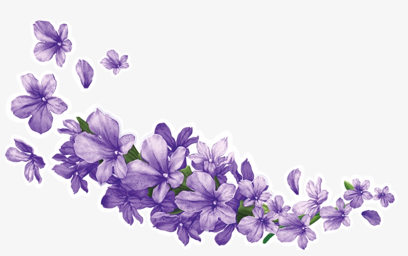 Lavender-7 - Lavender Png, transparent png