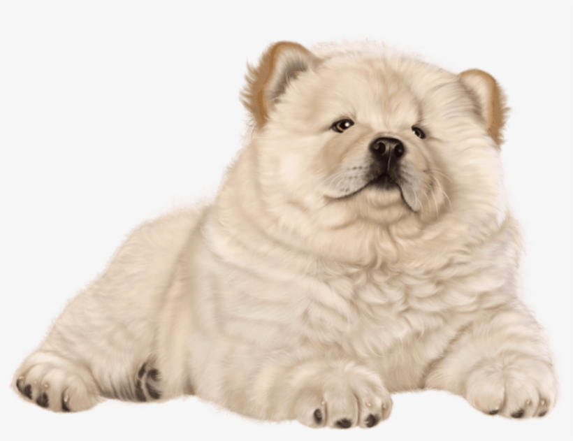Free Png Puppy Png Images Transparent - Chow Chow Dog Png, transparent png