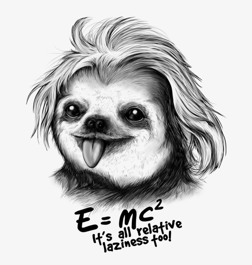 Sloth Einstein Iphone 7 Case, transparent png
