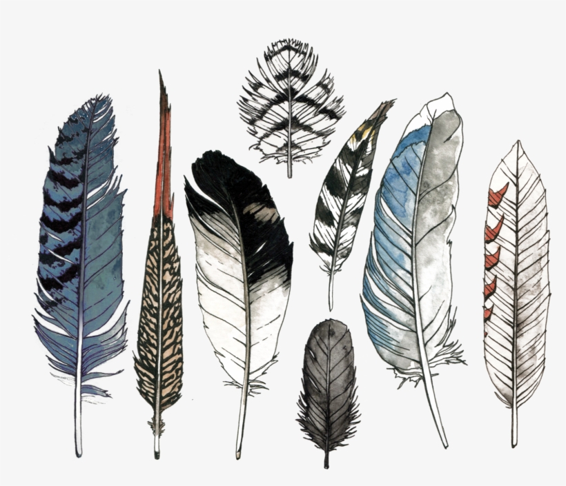 Watercolor Feather Set - Watercolor Feather, transparent png